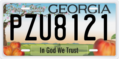 GA license plate PZU8121