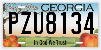 GA license plate PZU8134
