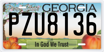 GA license plate PZU8136
