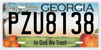 GA license plate PZU8138