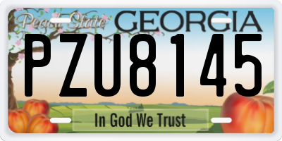 GA license plate PZU8145