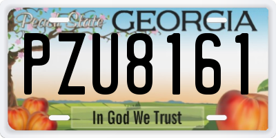 GA license plate PZU8161