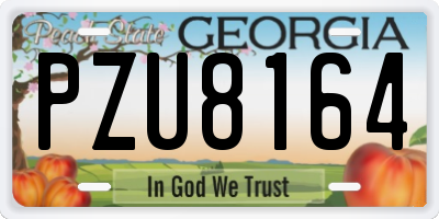 GA license plate PZU8164