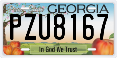 GA license plate PZU8167