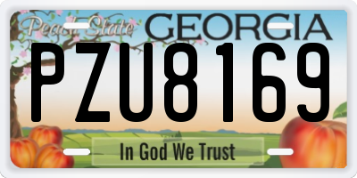 GA license plate PZU8169
