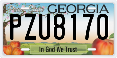 GA license plate PZU8170