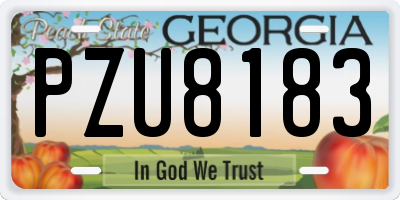 GA license plate PZU8183