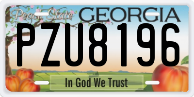 GA license plate PZU8196