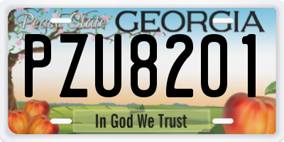 GA license plate PZU8201