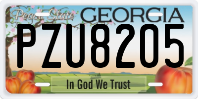 GA license plate PZU8205