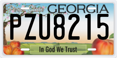 GA license plate PZU8215