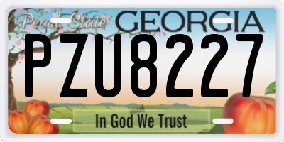 GA license plate PZU8227