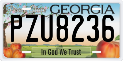 GA license plate PZU8236