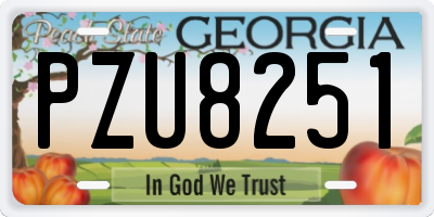 GA license plate PZU8251