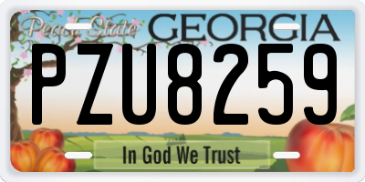 GA license plate PZU8259
