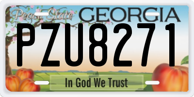 GA license plate PZU8271