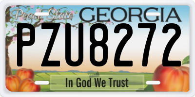 GA license plate PZU8272