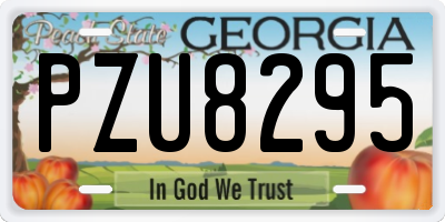 GA license plate PZU8295