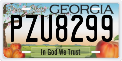 GA license plate PZU8299