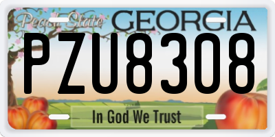 GA license plate PZU8308