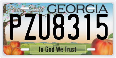 GA license plate PZU8315