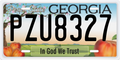 GA license plate PZU8327