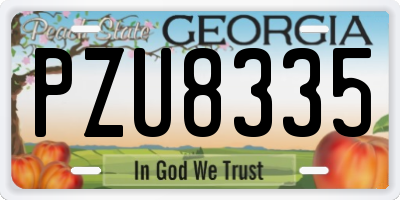GA license plate PZU8335
