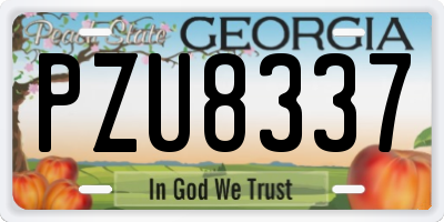 GA license plate PZU8337