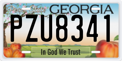 GA license plate PZU8341