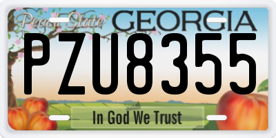 GA license plate PZU8355