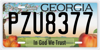 GA license plate PZU8377