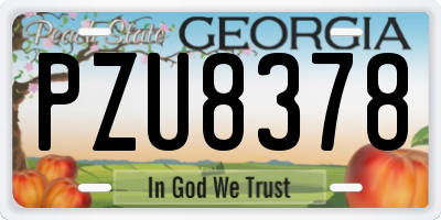 GA license plate PZU8378