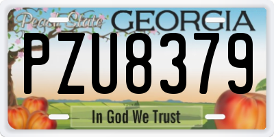 GA license plate PZU8379