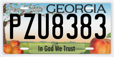 GA license plate PZU8383