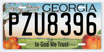 GA license plate PZU8396