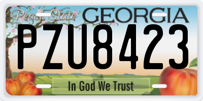 GA license plate PZU8423