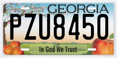 GA license plate PZU8450