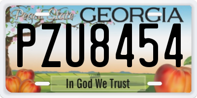 GA license plate PZU8454