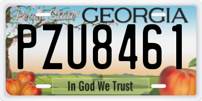 GA license plate PZU8461