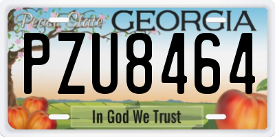 GA license plate PZU8464