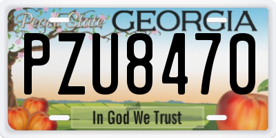 GA license plate PZU8470