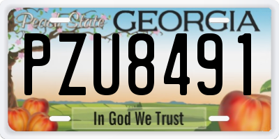 GA license plate PZU8491