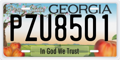 GA license plate PZU8501