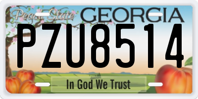 GA license plate PZU8514