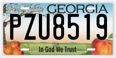 GA license plate PZU8519