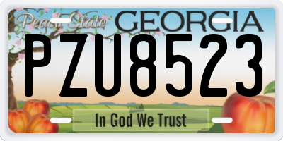 GA license plate PZU8523
