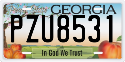 GA license plate PZU8531