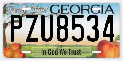 GA license plate PZU8534