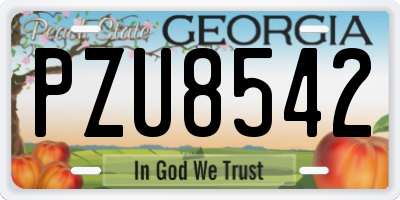 GA license plate PZU8542
