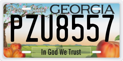 GA license plate PZU8557